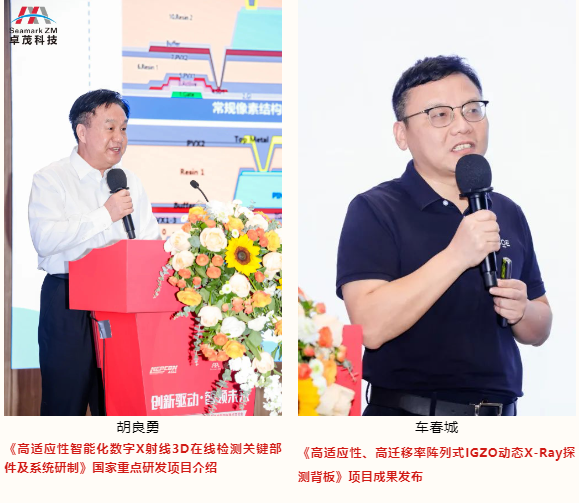 QQ截圖20241120112431.png